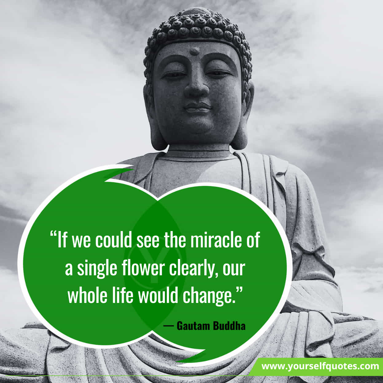 Buddha Quotes For Life