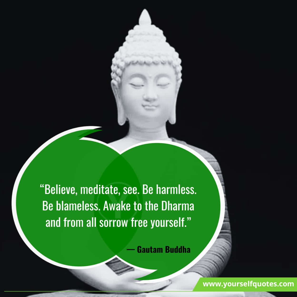 Buddha Quotes on Meditation
