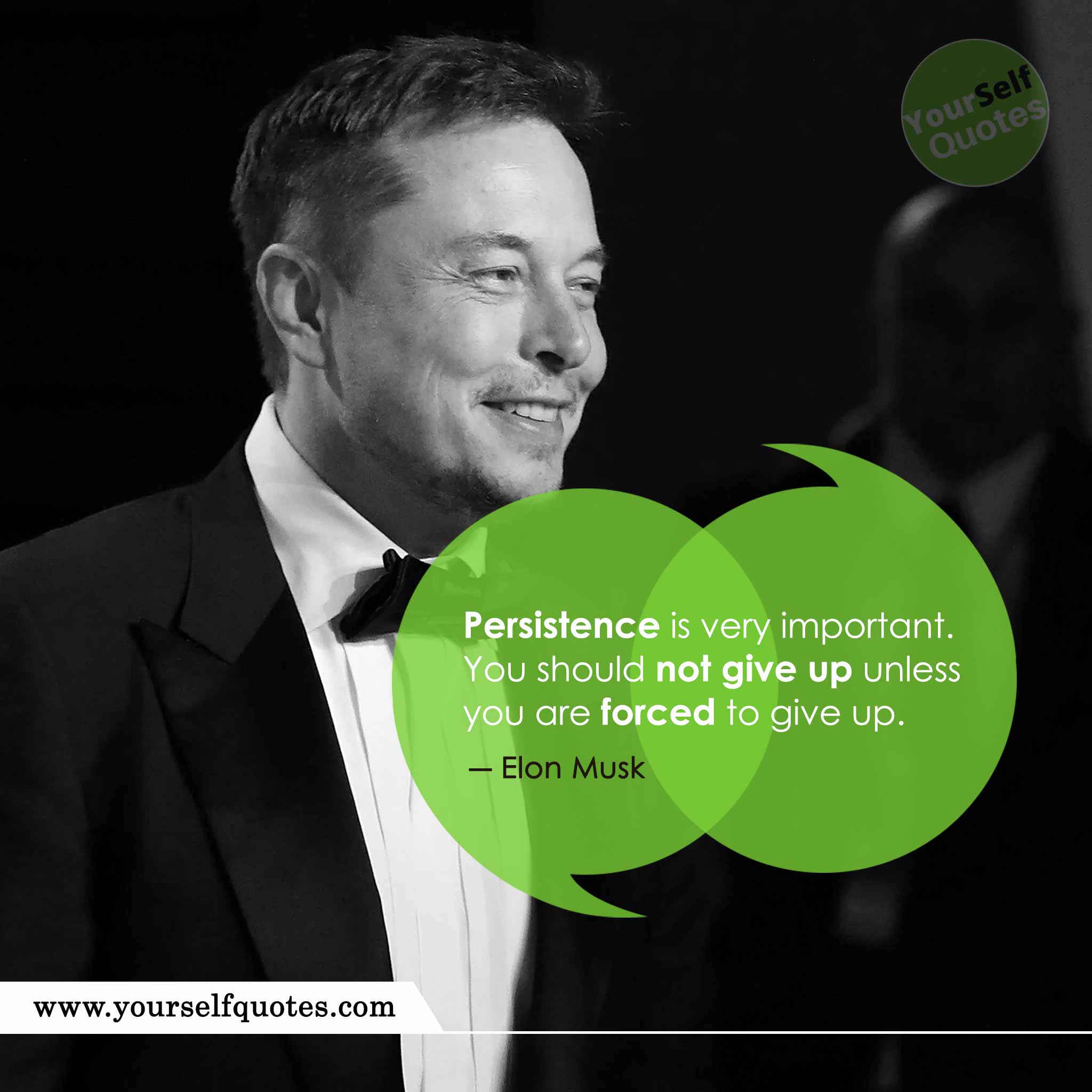 Elon Musk Best Quote