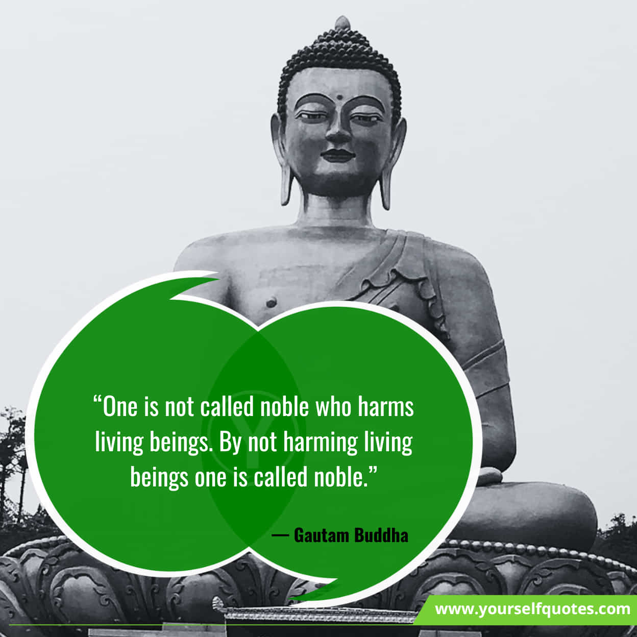Gautam Buddha Quotes for Students