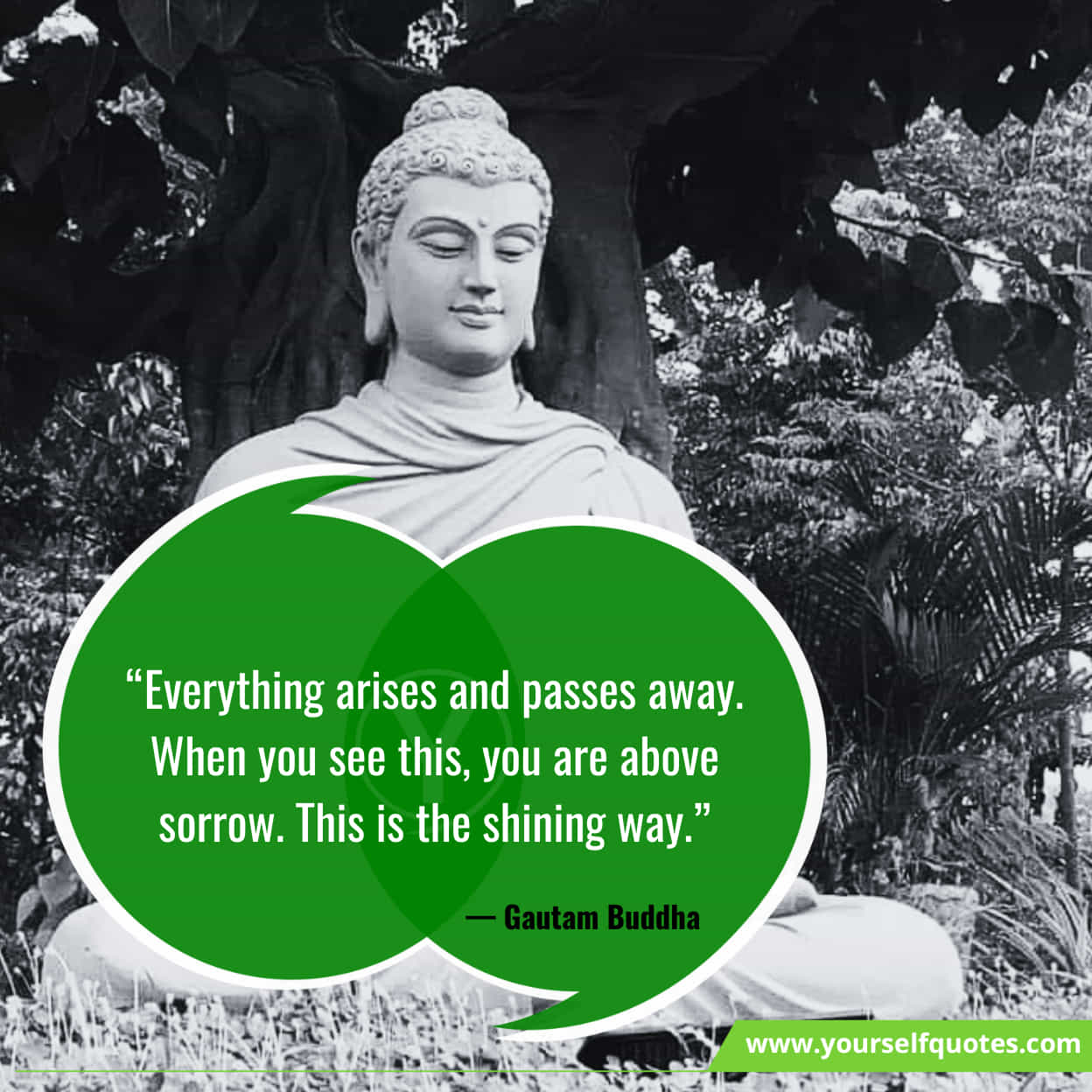 Gautam Buddha Quotes on Happiness