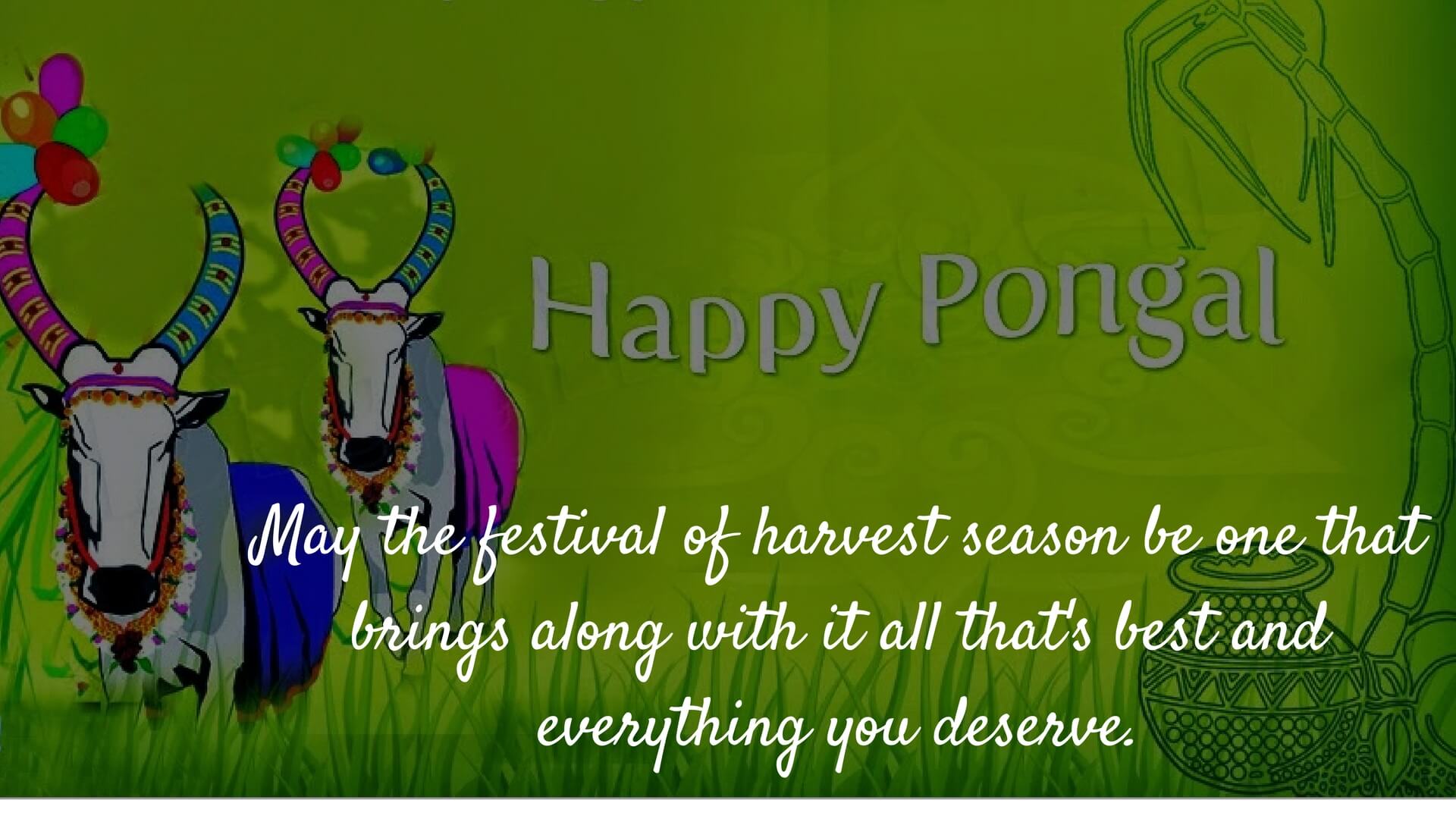 Happy Pongal Wishes Images