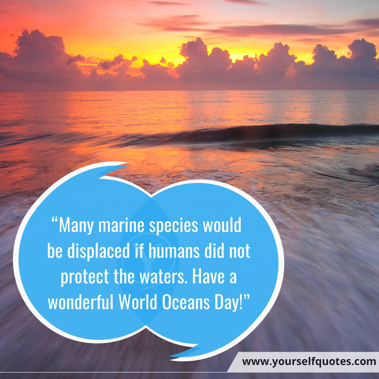 Happy World Ocean Day Messages Photos