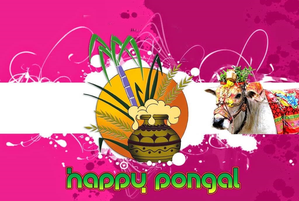 Best Pongal Wishes Images