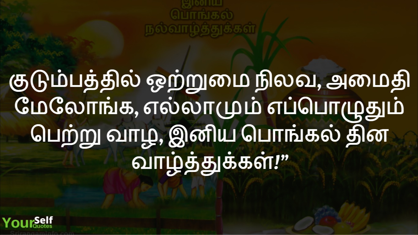 Pongal Wishes Tamil Images and Wallpapers Download 