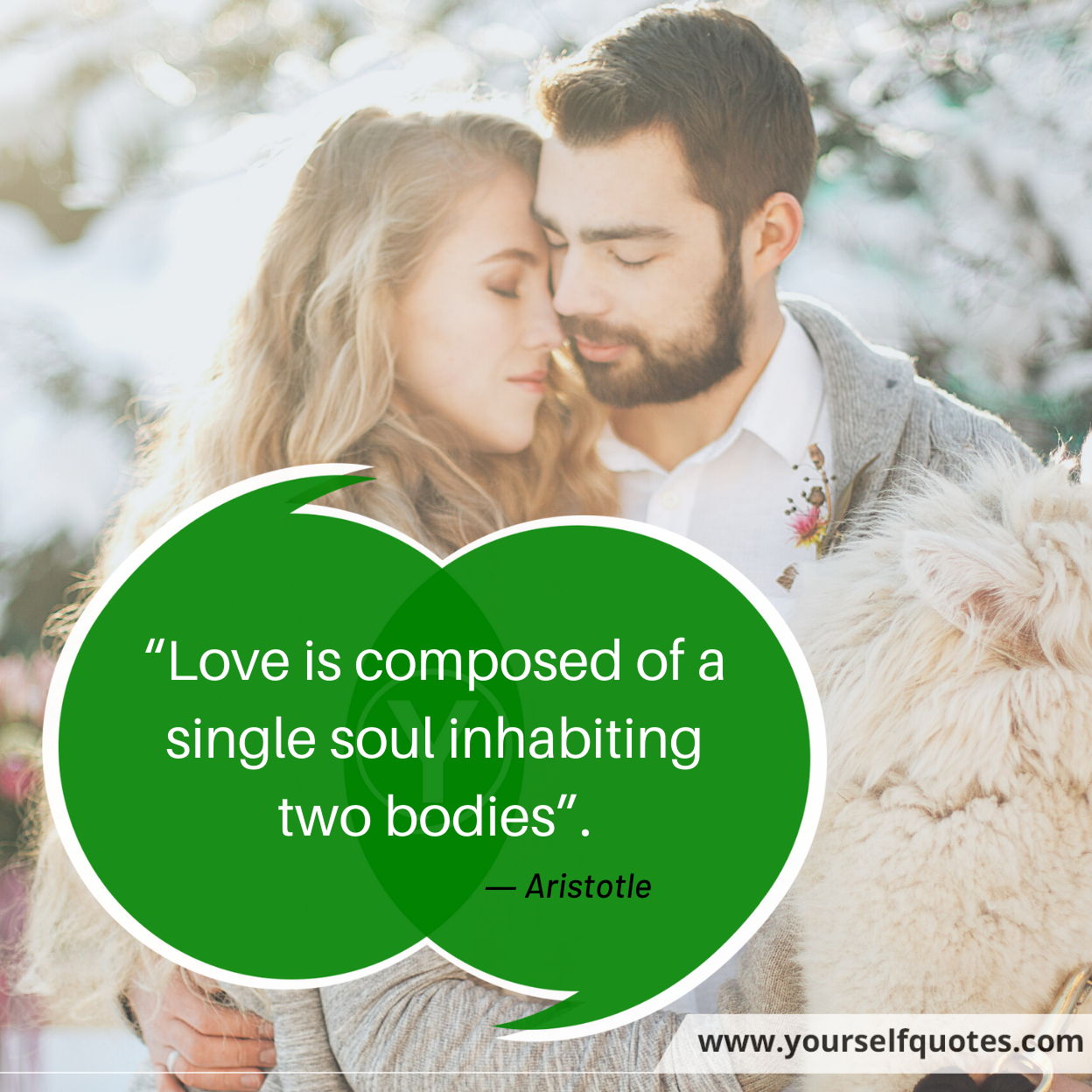 Quotes on Love by Aristotle