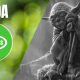 Yoda Quotes | YourSelf Quotes